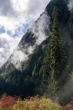 Clouds and Misty Mountain Forest Stock Photos