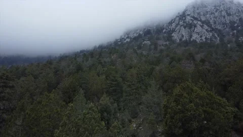 Clouds and mountain forest Stock Footage 171581445