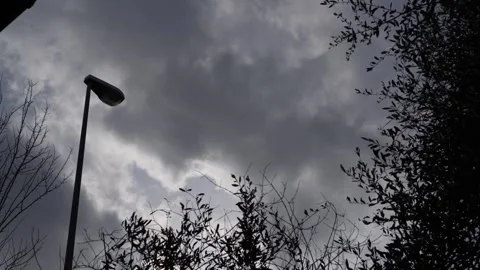 Clouds and olive branches 1 Stock Footage 297704418