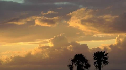 Clouds and Palm Trees at Sunset Stock Footage 46861234