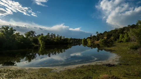 Clouds and Pond Scum Dance Across this Picturesque Duck pond Time Lapse Stock Footage 280045970