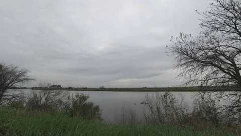 Clouds and River Slough Timelapse Brannan Island State Conxervation Park Stock Footage 148718222