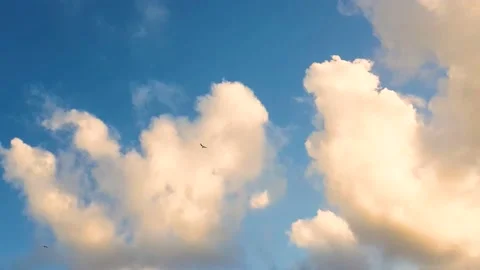 Clouds And Sky Timelapse Stock Footage 164469194