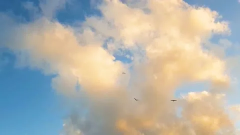 Clouds And Sky Timelapse Stock Footage 164471813