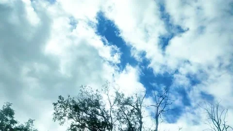 Clouds And Sky Timelapse Video stock 164637819
