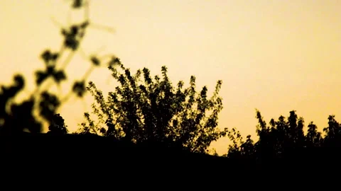 Clouds And Sky Timelapse Video stock 164655488