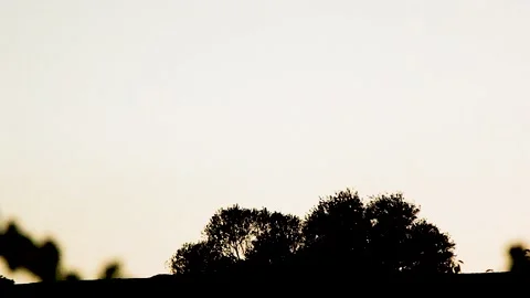 Clouds And Sky Timelapse Stock Footage 164655775