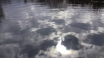 Clouds and sun are reflected in the river Stock Footage 85626685