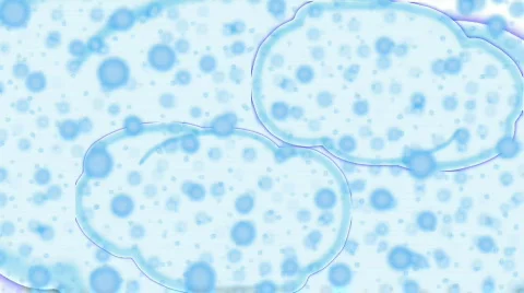 Clouds and Sun Stock-Footage 265429