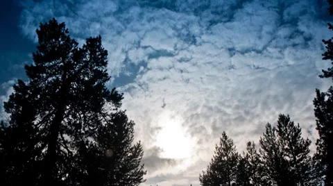 Clouds and sun over the forest, timelapse Stock Footage 8519969