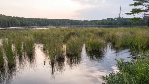 Clouds and sunset over marsh Stock Footage 100138519