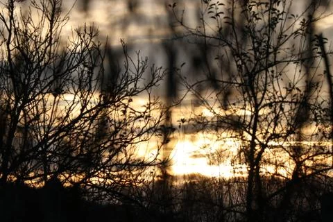 Clouds and sunset through branches Stock Photos