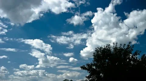 Clouds and Tree Stock Footage 11017830