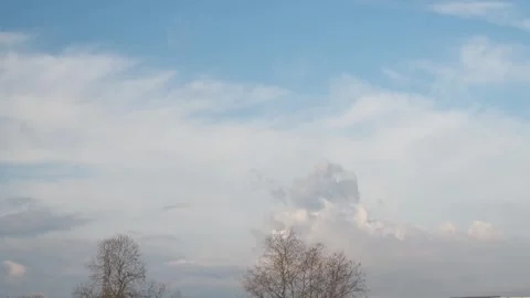 Clouds and tree Stock Footage 267029679