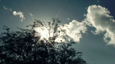 Clouds and Tree HD Stock Footage 622850