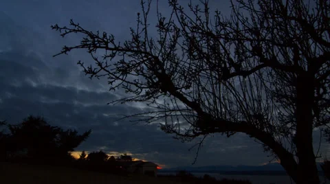 Clouds and Tree Lapse Stock Footage 36595392