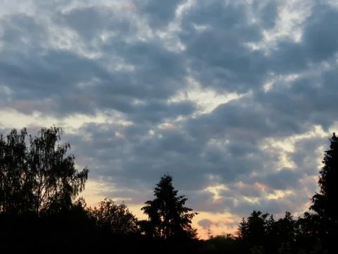 Clouds and tree silhouettes Stock Photos