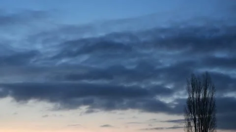 Clouds and tree time lapse Video stock 21950239