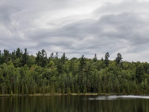 Clouds and Trees and a Lake Stock Footage 80137579