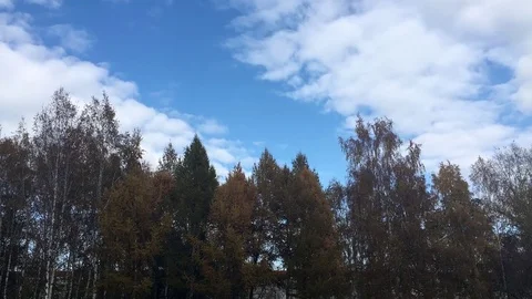Clouds  And Trees in Autumn Stock Footage 80913651