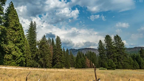 Clouds and Trees Dance above Grasses in Wawona Meadow, Yosemite Time Lapse Stock Footage 280176916