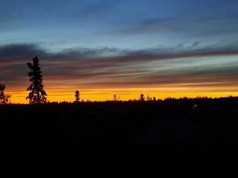 Clouds and Trees during an Alaskan Sunset Stock Photos