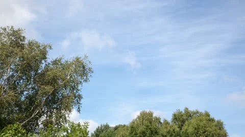 Clouds and trees Stock Footage 27172178