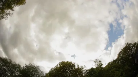 Clouds and trees Stock Footage 58815579