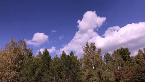 Clouds And Trees Stock Footage 80297708