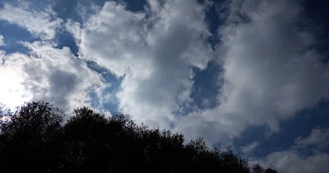Clouds and trees Stock Footage 101049103