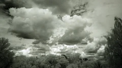 Clouds and trees, infrared time lapse t3327 Stock Footage 11442906