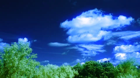 Clouds and trees, infrared time lapse t1365G Stock Footage 32897982
