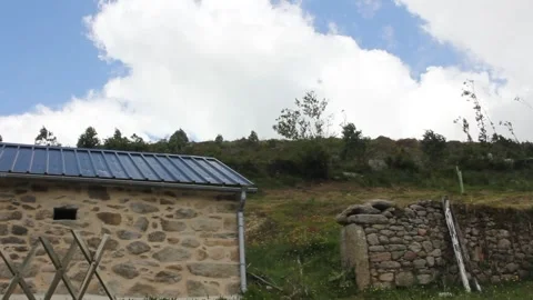 Clouds and trees moving with the wind Stock Footage 255210373
