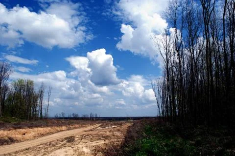 Clouds and trees Foto stock