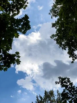 Clouds and Trees Stock Photos