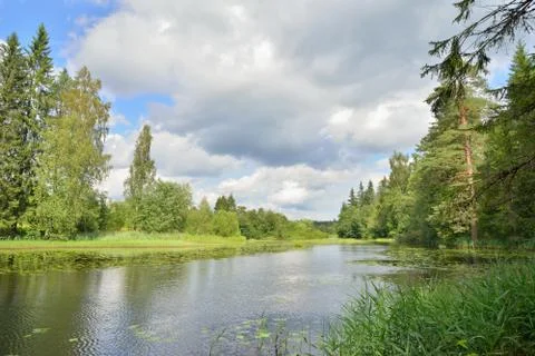 Clouds and trees reflected in the water of the river Oredezh among the leaves Stock Photos