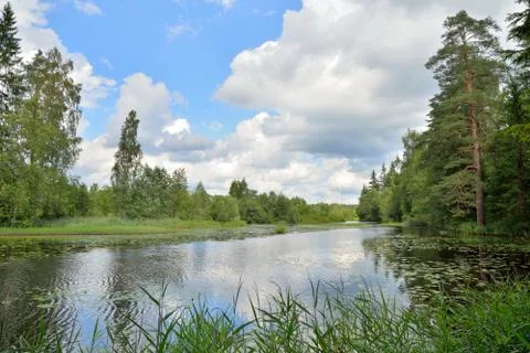 Clouds and trees reflected in the water of the river Oredezh among the leaves Stock Photos