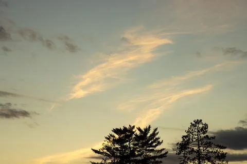 Clouds and trees at sunset Stock Photos