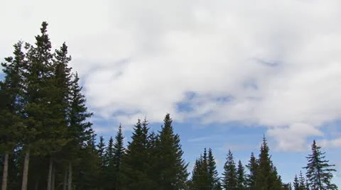 Clouds and Trees Time Lapse Stock Footage 11072692