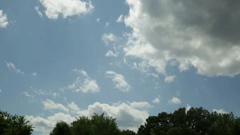 Clouds and Trees Timelapse Stock Footage 142338046