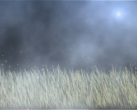 Clouds and wind blowing in grass Stock-Footage 557970