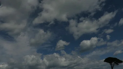 Clouds and Wind Stock Footage 105892941
