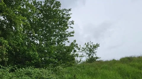 Clouds and Wind Stock Footage 310104295