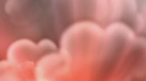 Clouds animation Stock Footage 36538810