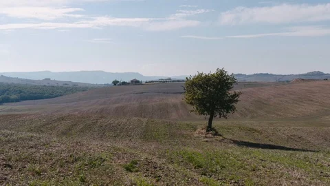 Clouds are moving fast during a 4k time-lapse over the vineyard filled countr Stock Footage 97342757