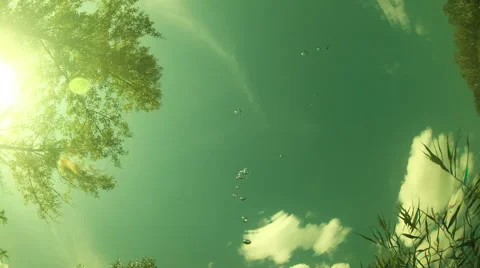 Clouds are moving the view from under the water. Timelapse Stock Footage 58624777