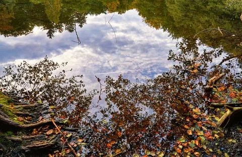 Clouds are reflected in the forest lake. Stock Photos