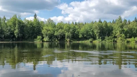 Clouds are reflected in the river. Forest on the river bank. Beautiful landscape Video stock 247706963