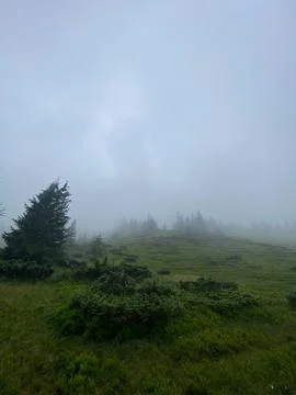 Clouds are rolling through after the rain in the Carpathian Mountains in Ukra Foto stock