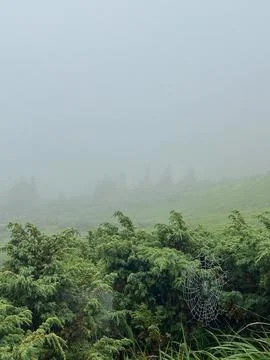 Clouds are rolling through after the rain in the Carpathian Mountains in Ukra Stock Photos